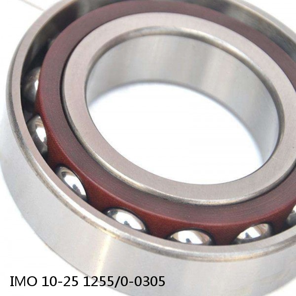 10-25 1255/0-0305 IMO Slewing Ring Bearings