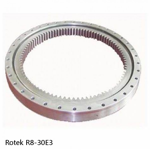 R8-30E3 Rotek Slewing Ring Bearings