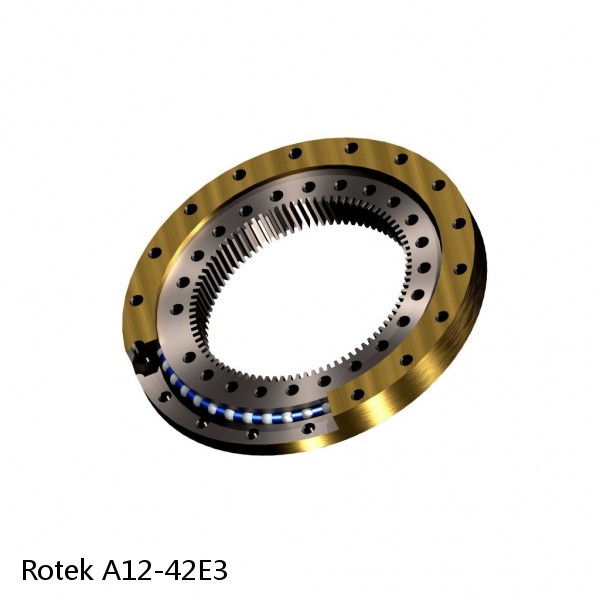 A12-42E3 Rotek Slewing Ring Bearings