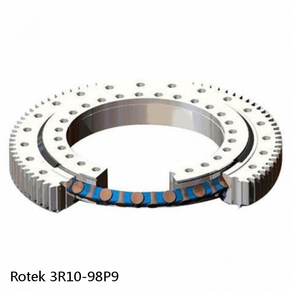 3R10-98P9 Rotek Slewing Ring Bearings