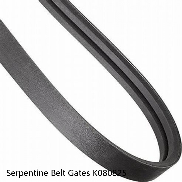 Serpentine Belt Gates K080825