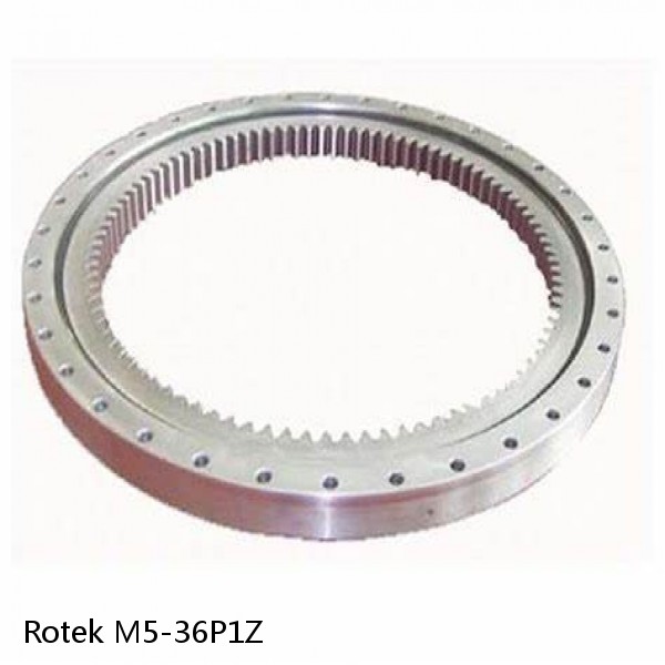 M5-36P1Z Rotek Slewing Ring Bearings #1 small image