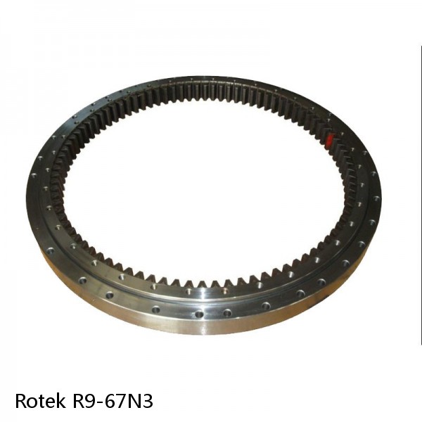 R9-67N3 Rotek Slewing Ring Bearings #1 small image