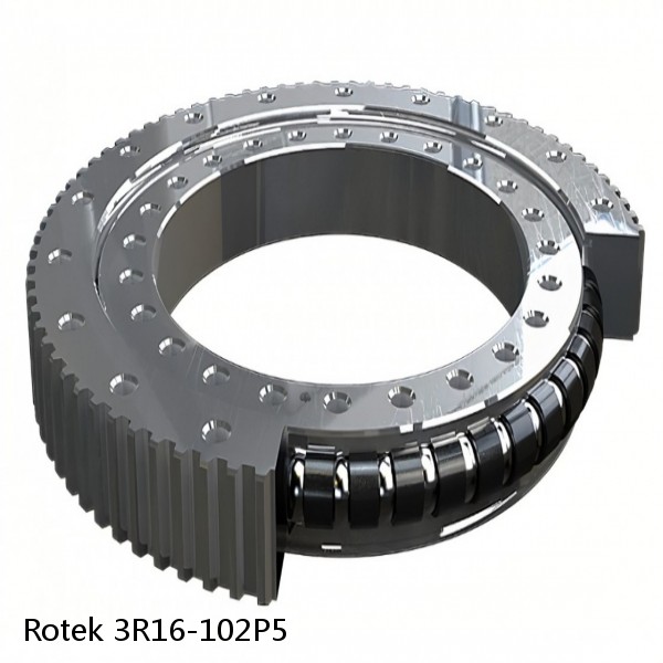 3R16-102P5 Rotek Slewing Ring Bearings #1 small image