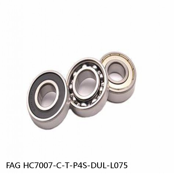 HC7007-C-T-P4S-DUL-L075 FAG precision ball bearings #1 small image