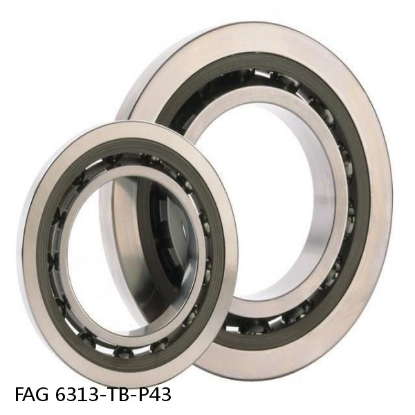 6313-TB-P43 FAG high precision ball bearings #1 small image