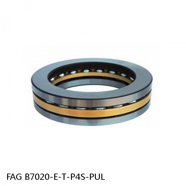 B7020-E-T-P4S-PUL FAG high precision ball bearings #1 small image