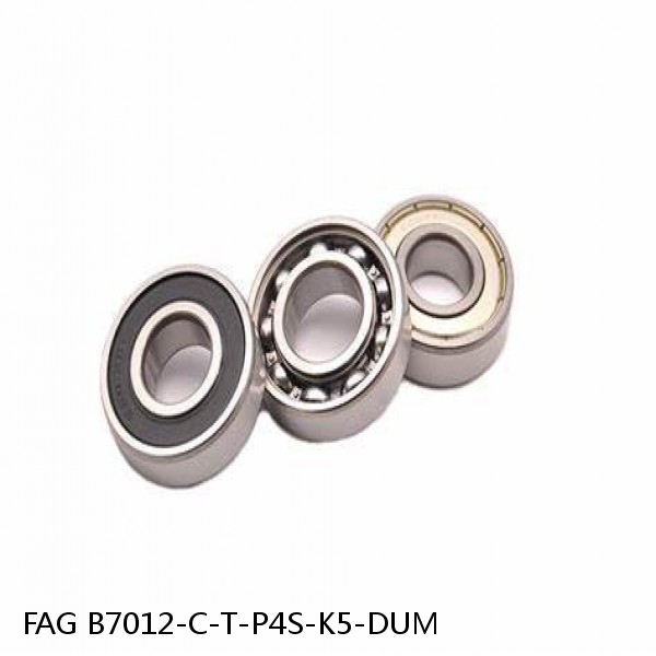 B7012-C-T-P4S-K5-DUM FAG high precision bearings #1 small image