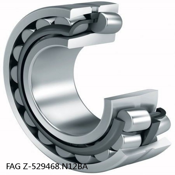 Z-529468.N12BA   FAG ROLL NECK BEARINGS for ROLLING MILL #1 small image