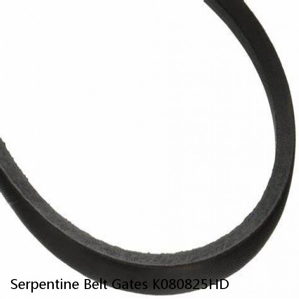Serpentine Belt Gates K080825HD #1 small image