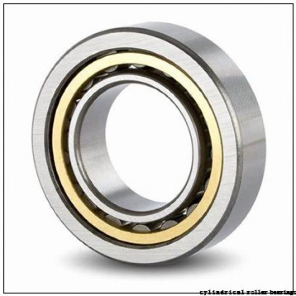 220 mm x 400 mm x 108 mm  NKE NJ2244-E-MA6 cylindrical roller bearings #1 image