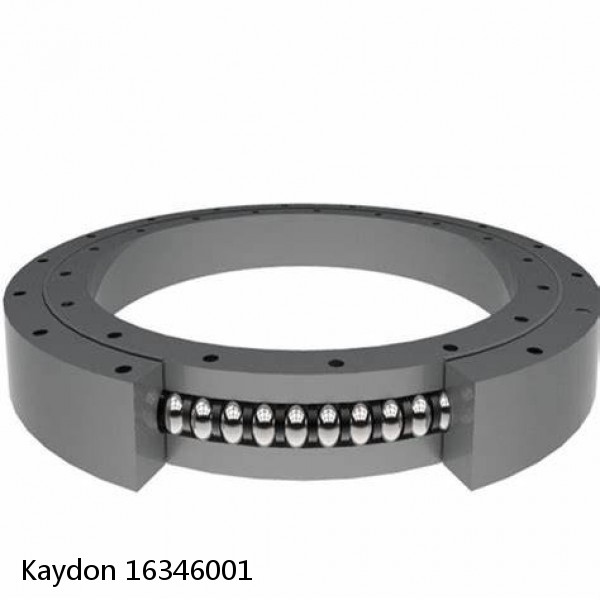 16346001 Kaydon Slewing Ring Bearings #1 image