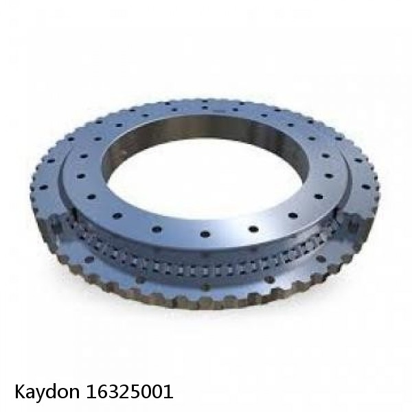 16325001 Kaydon Slewing Ring Bearings #1 image