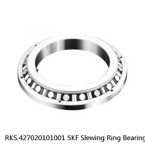 RKS.427020101001 SKF Slewing Ring Bearings #1 image