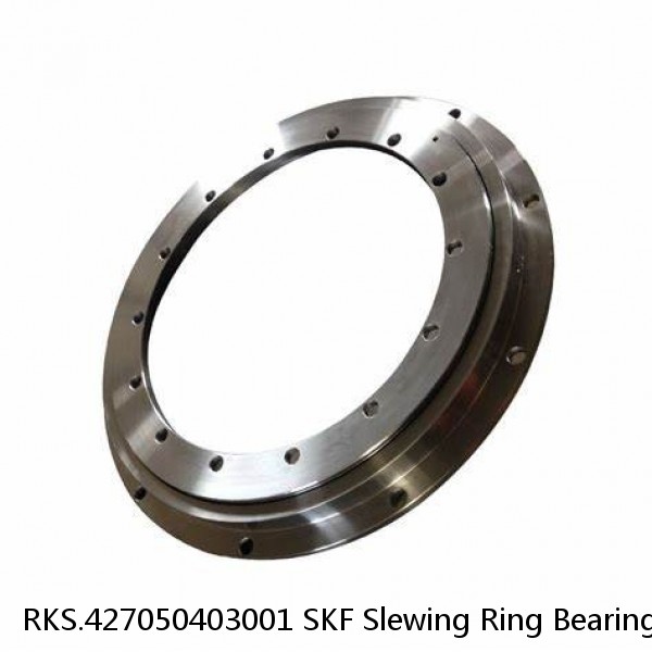 RKS.427050403001 SKF Slewing Ring Bearings #1 image