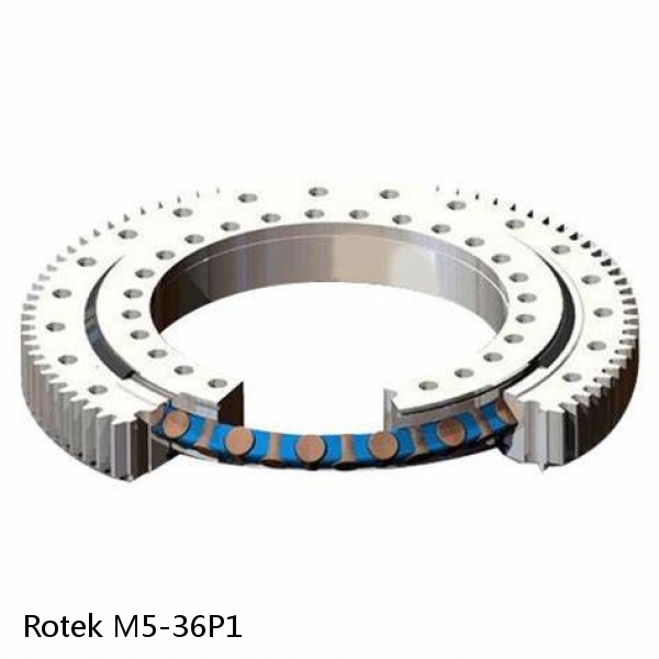 M5-36P1 Rotek Slewing Ring Bearings #1 image