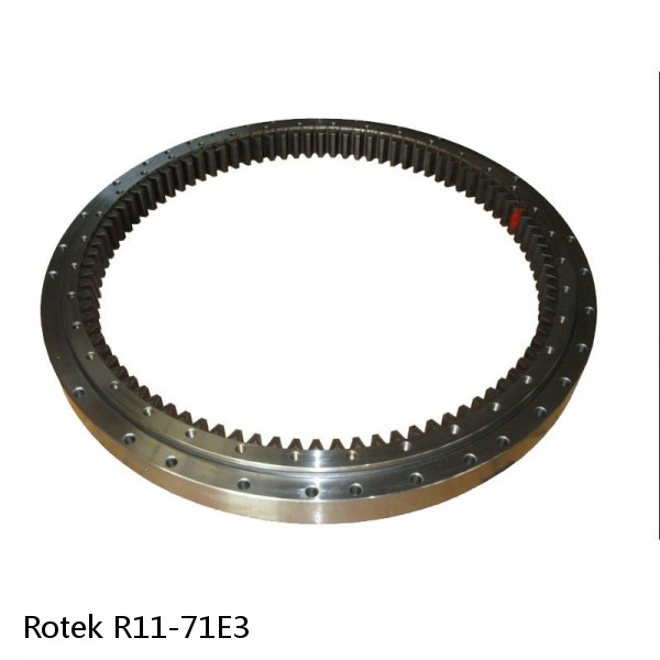 R11-71E3 Rotek Slewing Ring Bearings #1 image