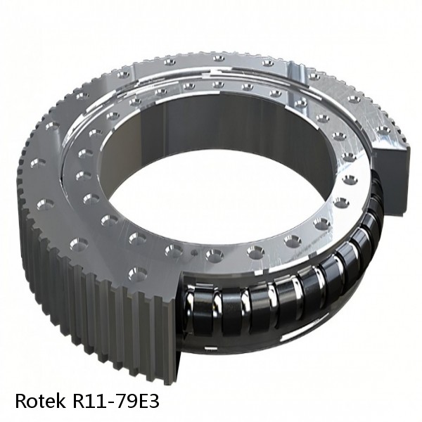 R11-79E3 Rotek Slewing Ring Bearings #1 image