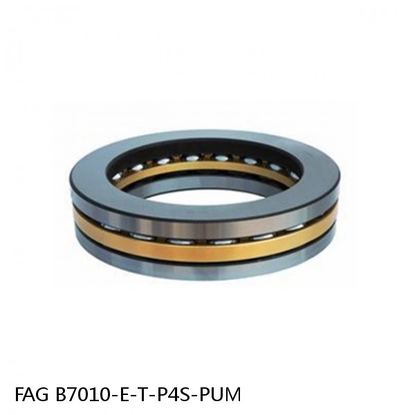 B7010-E-T-P4S-PUM FAG precision ball bearings #1 image