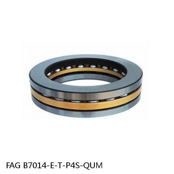 B7014-E-T-P4S-QUM FAG high precision ball bearings #1 image