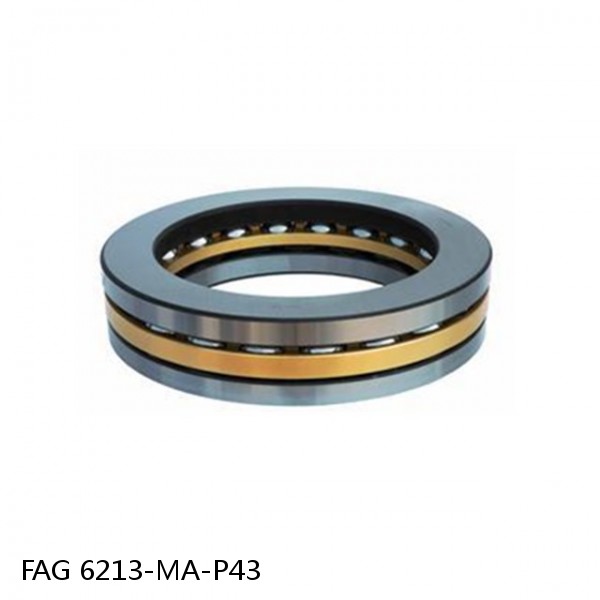 6213-MA-P43 FAG high precision bearings #1 image