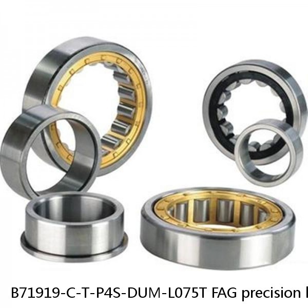B71919-C-T-P4S-DUM-L075T FAG precision ball bearings #1 image