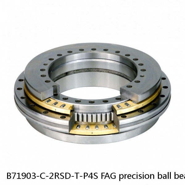 B71903-C-2RSD-T-P4S FAG precision ball bearings #1 image