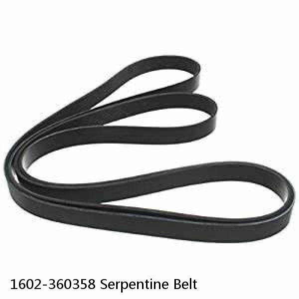 1602-360358 Serpentine Belt #1 image