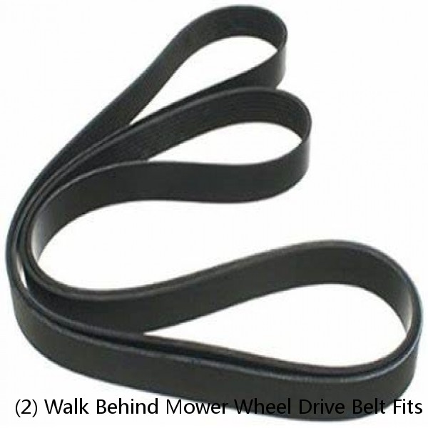 (2) Walk Behind Mower Wheel Drive Belt Fits Scag 36" 48" 52" 61" 48202 48202A  #1 image